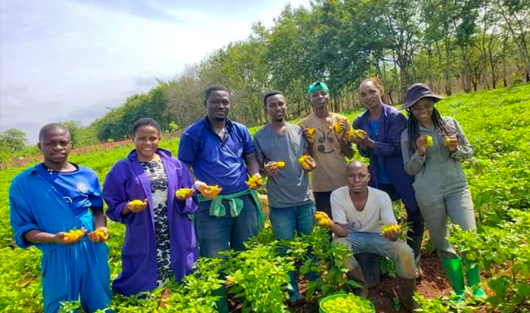 A Foolproof Guide for Picking Great Produce—Every Time​